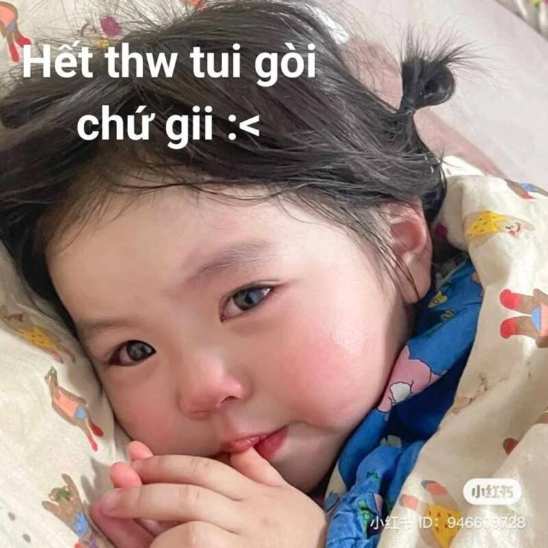 meme buồn khiến bạn cười